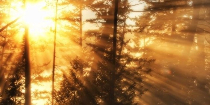 750x1334 Brilliant quality high resolution wallpaper HD Wallpapers 750x1334