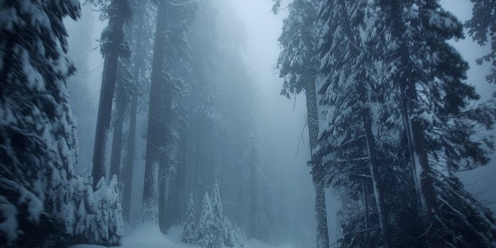 2048x1365 Green, Beautiful Nature, Wallpaper For Smart Pnone Nature, Snow