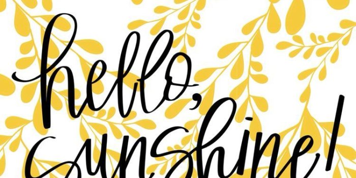 750x1334 Hello sunshine | Wallpapers in 2019 | Wallpaper quotes, Iphone