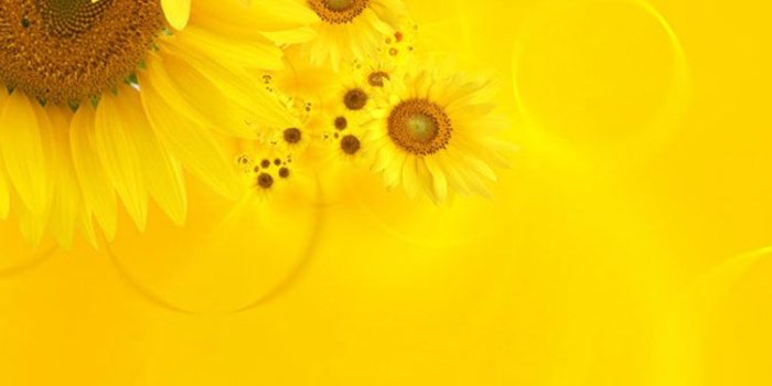 750x1334 30 HD Yellow iPhone Wallpapers