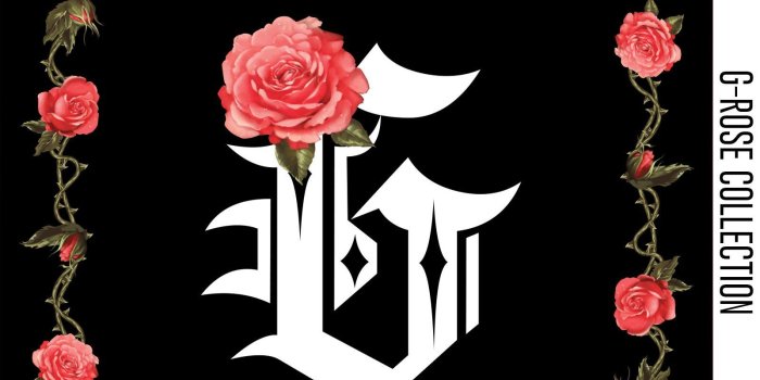 1600x1000 Grizzly Griptape