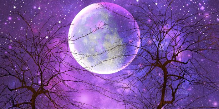 1920x1080 45+ Purple Moon and Stars Wallpapers - Download at WallpaperBro