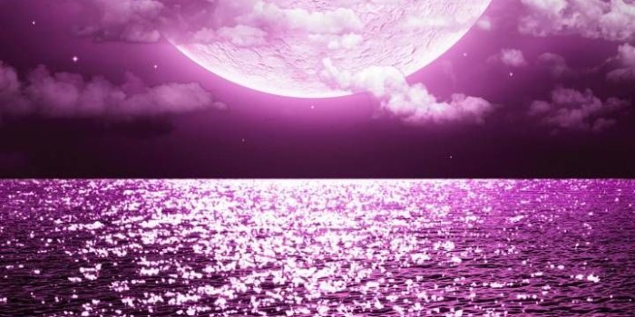 720x1280 Download Purple Moon Wallpaper by Sixty_Days - 6c - Free on ZEDGE