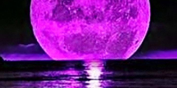 720x1280 Purple moon Wallpaper by Chrispy39 - d6 - Free on ZEDGE™