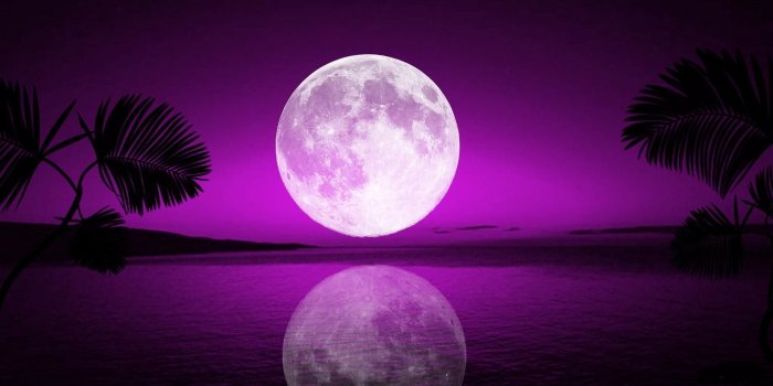 1920x1080 tropical-moon-free-hd-wallpapers-for-desktop - HD Wallpaper