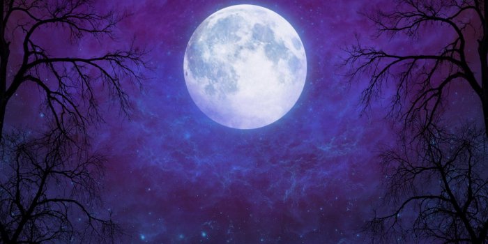 1920x1080 Full Moon in Starry Night Sky HD Wallpaper | Background Image