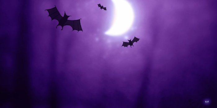 2560x1600 131182 #Halloween Bats, #Purple, #Moon | Holidays wallpapers and