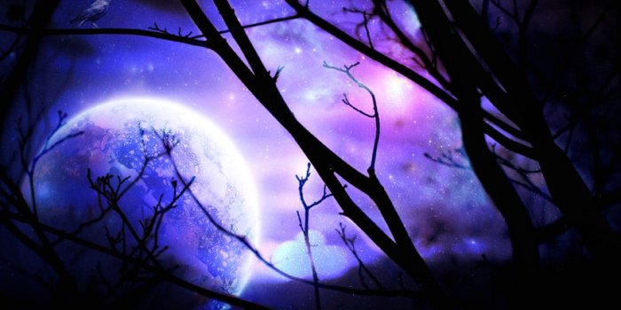 2560x1698 Sky: Night Forest Creative Dark Moon Sky Stock Resources Forests Pre