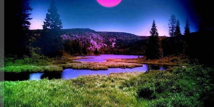 1066x800 Misc: Purple Moon Nature Free Desktop Wallpaper for HD 16:9 High