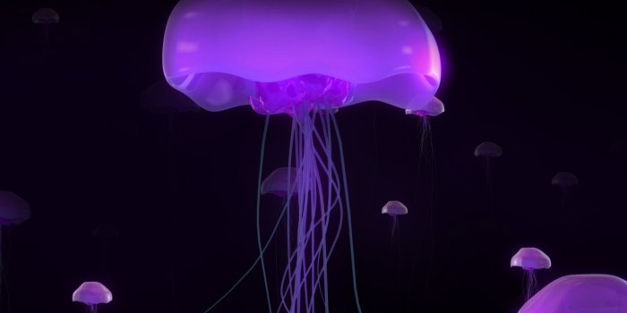 5120x2160 Purple Moon Jellyfish HD Wallpaper 4K Ultra HD Wide TV - HD