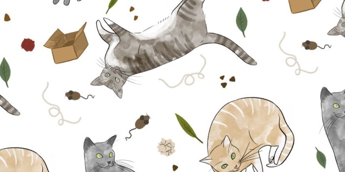 1080x1920 iPhone Wallpaper: Cats! — Megan Amey