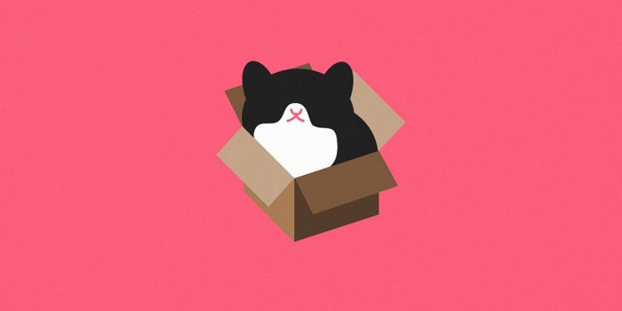 1125x2436 iPhoneXpapers - aj73-cat-box-red-illust-animal-art-minimal