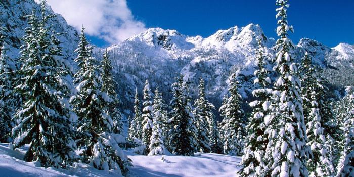 1600x1200 Heavy Snow Fall In INDIA Book Air Tickets Now Call Toll Free- 1-877