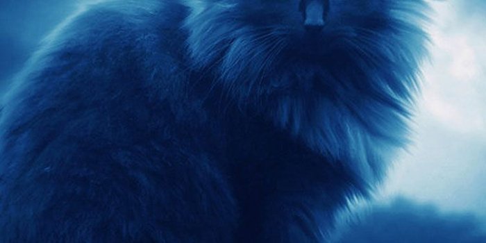 750x1334 30+ Best Latest Cool iPhone 6 HD Wallpapers & Backgrounds of 2016