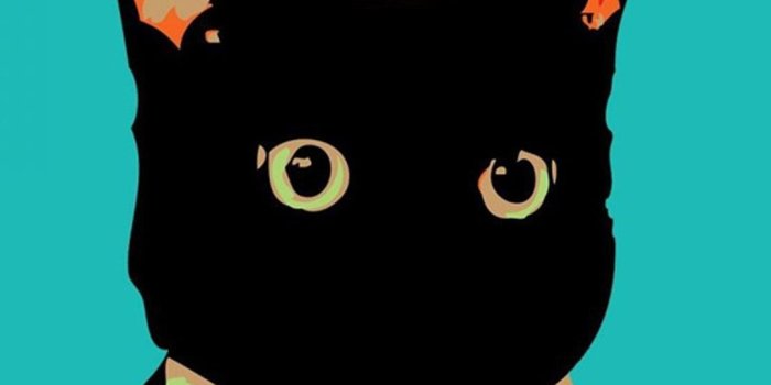1080x1920 Cat iPhone Wallpapers - Pexels Wallpaper