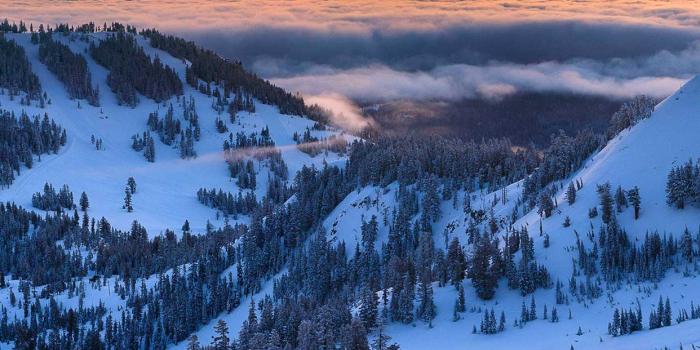 1242x2208 Download Squaw Valley Alpine Meadows Wallpaper | Squaw Alpine