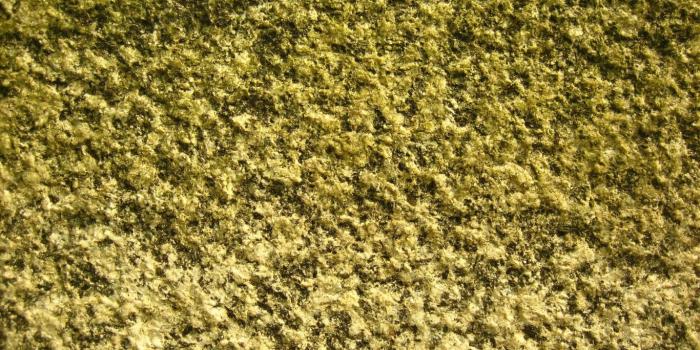 1366x768 Stone, Grasses, Rock, Marble, Grass Laptop Wallpaper, 1366x768