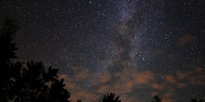 1366x768 wallpaper for desktop, laptop | nc77-night-sky-stars-milkyway-wood