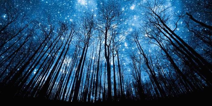 1920x1080 the-best-desktop-wallpapers-5764395 -sm – Creative Stars Academy