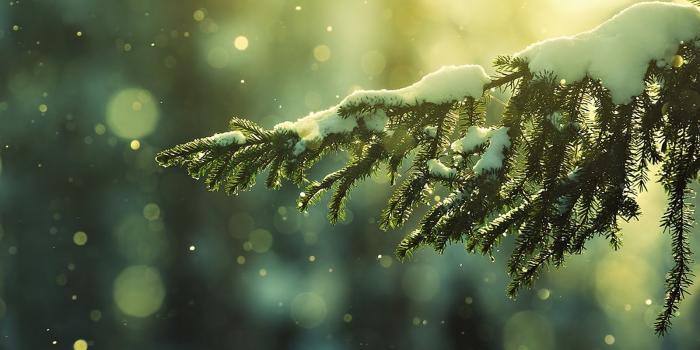 1600x1000 The-best-top-winter-desktop-wallpapers-30 | The Realm