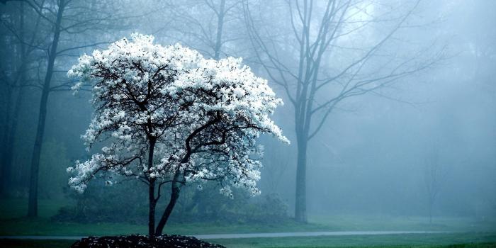 2560x1600 76+ Best desktop backgrounds ·① Download free amazing High