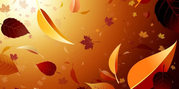 1920x1200 New Leafs Abstract Wallpapers Hd Images Photos Picture