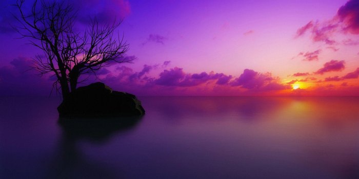 1920x1200 Purple Sunset Wallpapers
