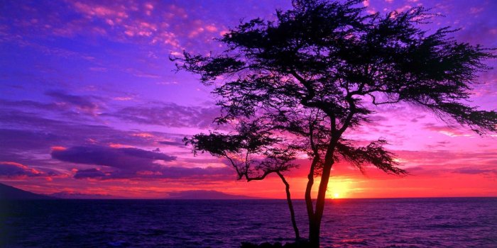 1920x1200 Purple Sunsets - Purple Wallpaper (40212068) - Fanpop
