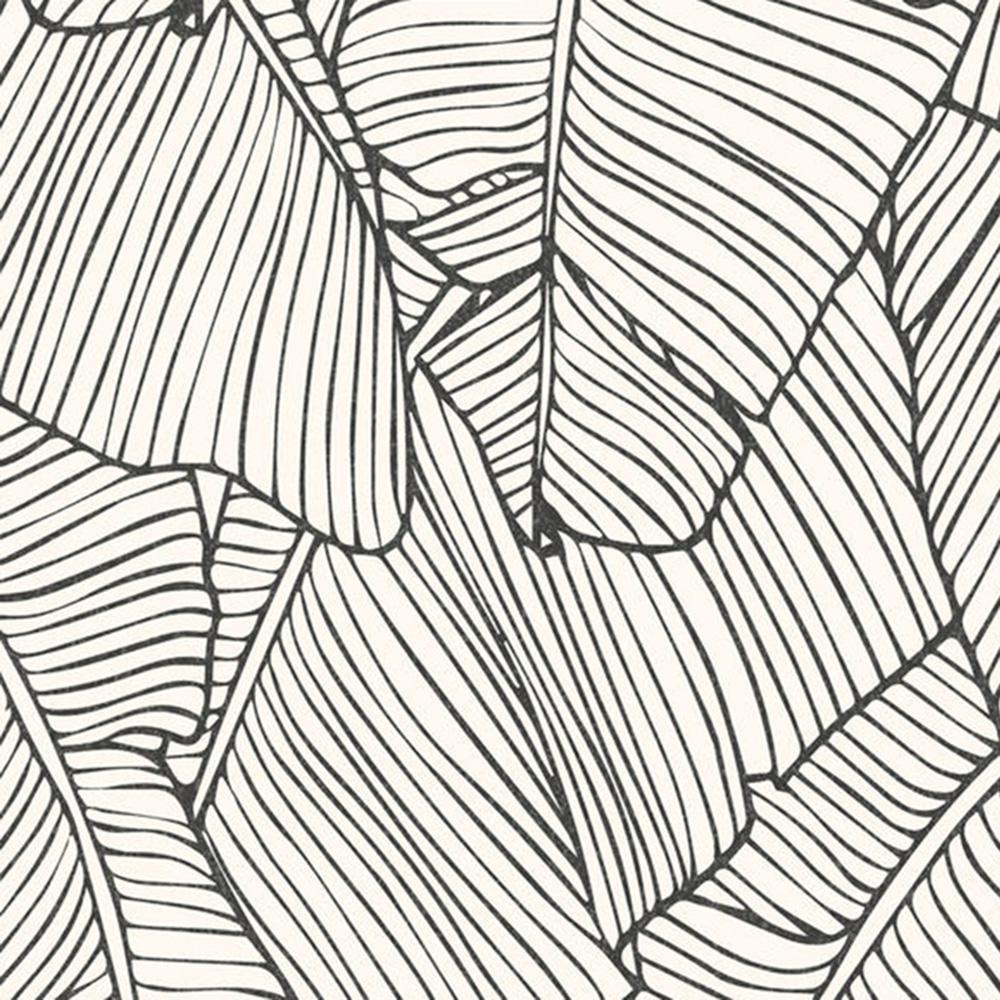 1000x1000 Leaf Outline Abstract White and Black Wallpaper