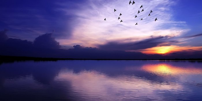 1920x1200 Amazing purple sunset wallpaper - Nature wallpapers - #41136