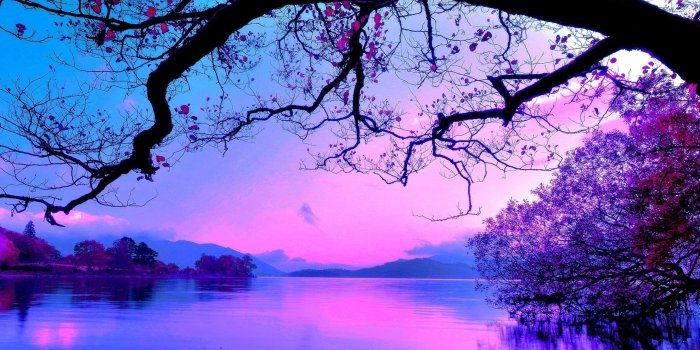 2560x1440 Blue and Purple sunset [2560 × 1440] : wallpaper