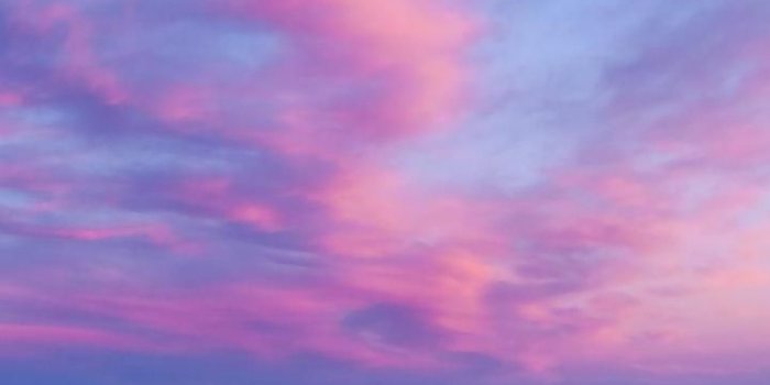 720x1280 Kali on Web project in 2019 | Purple aesthetic, Purple