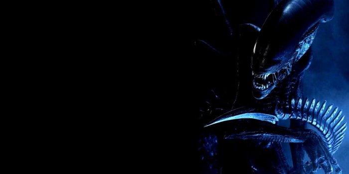 1920x1080 Alien Desktop Wallpapers - Top Free Alien Desktop Backgrounds