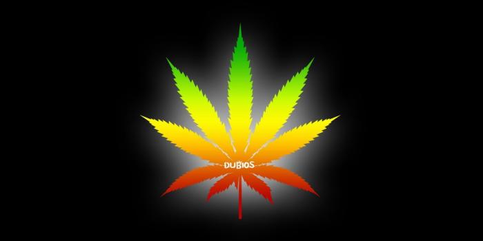 1600x900 rasta | another 4 new rasta color wallpapers | Rastafarian in 2019