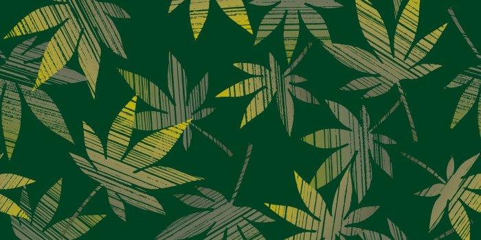 3840x2160 Hella High, Iphone Wallpaper Background Stoner Marijuana - Best Weed