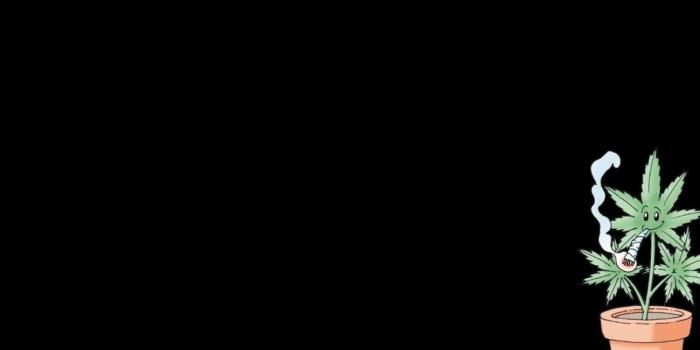 1300x731 46+] Marijuana HD Wallpaper on WallpaperSafari