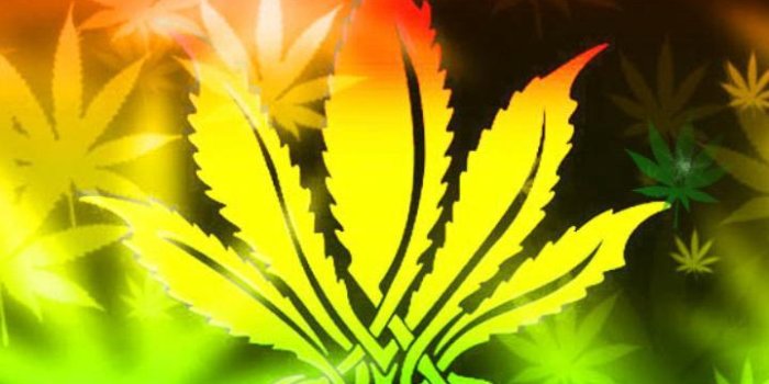 720x1280 Rasta Weed Live Wallpaper For Android - Iphone 6s Wallpaper