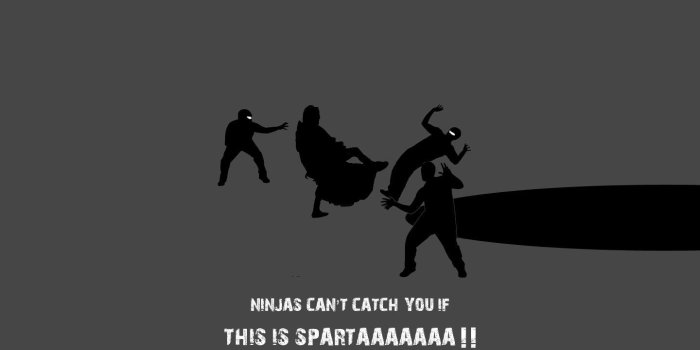 1440x900 sparta, Ninjas, Cant, Catch, You, If Wallpapers HD / Desktop and