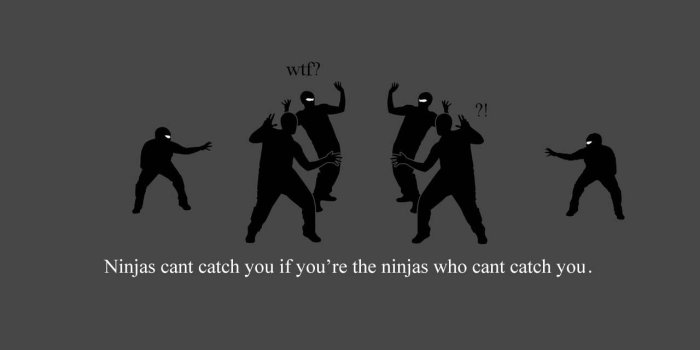1280x1024 Ninjas Can't Catch You Wallpaper | 1280x1024 | ID:14561
