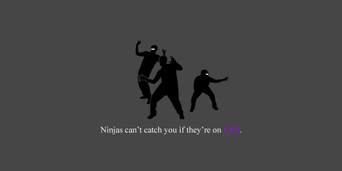 1280x1024 Ninja Wallpaper and Background Image | 1280x1024 | ID:121035