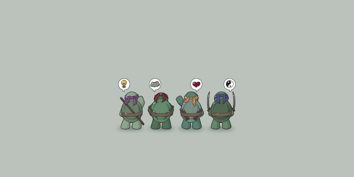 1920x1200 Funny Teenage Mutant Ninja Turtles HD desktop wallpaper : Widescreen