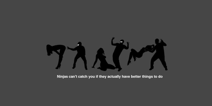 1920x1200 ninjas, Cant, Catch, You, If Wallpapers HD / Desktop and Mobile