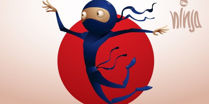 1920x1080 Funny Ninja Cartoon Art wallpaper | 1920x1080 | #9282
