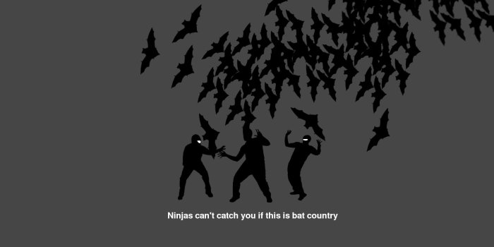 1920x1200 Ninjas Can't Catch You Wallpaper | 1920x1200 | ID:14133