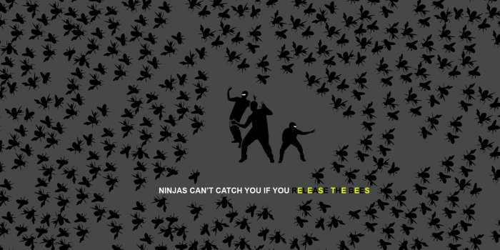 1920x1200 Ninja HD Wallpaper | Background Image | 1920x1200 | ID:314150