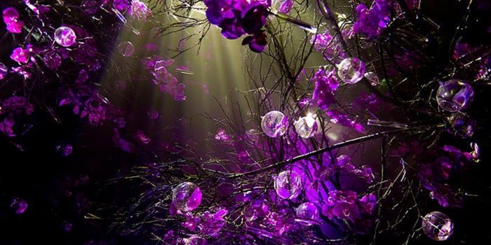 1920x1278 Purple Desktop Wallpapers - Top Free Purple Desktop Backgrounds