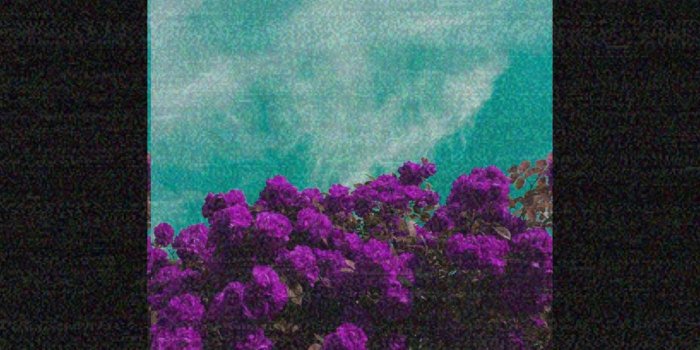 2484x3888 Hannah Becerra on Black and white in 2019 | Vaporwave