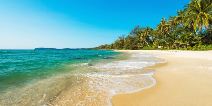 3840x2160 HD wallpaper: 8k uhd, palm tree, sandy beach, shore, coast, azure