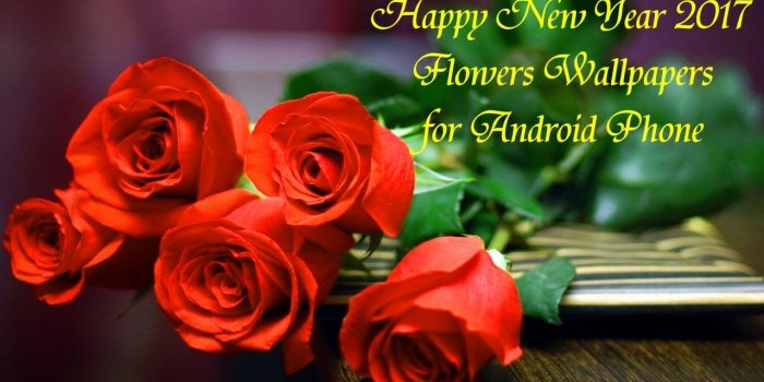 1280x720 Best Android Wallpaper App | Happy New Year 2019 Flowers Wallpapers for  Android Phone