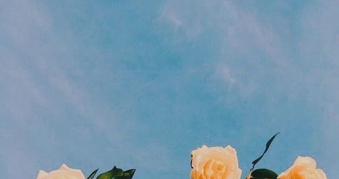 662x1257 Tumblr Wallpapers - 30+ Marvelous Flower Wallpaper for Sytle Your